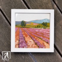 Lavender Field 01